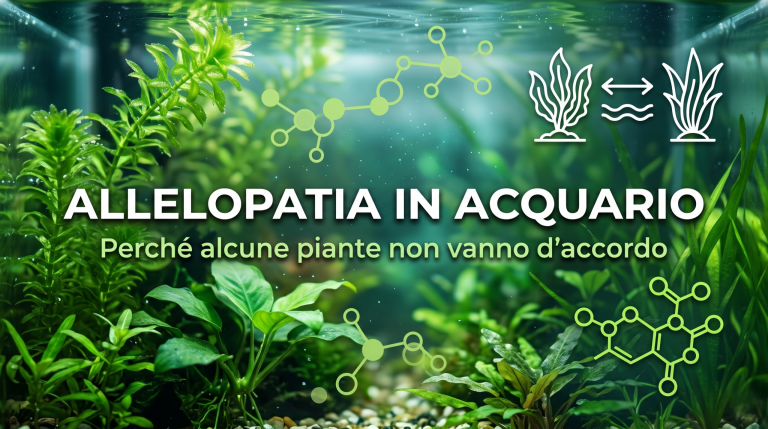 Allelopatia in acquario: perché alcune piante si boicottano a vicenda