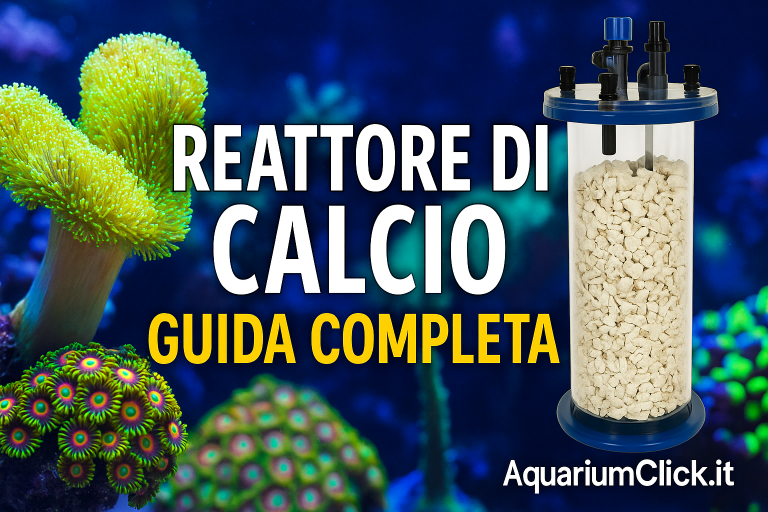 reattore di calcio