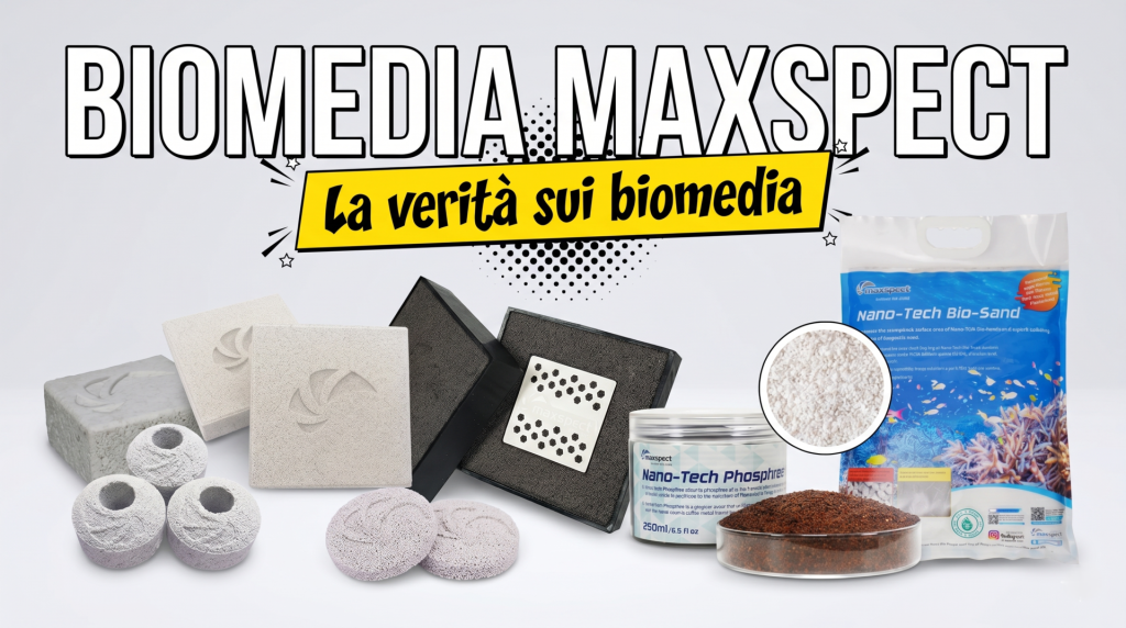 Biomedia maxspect nano-tech