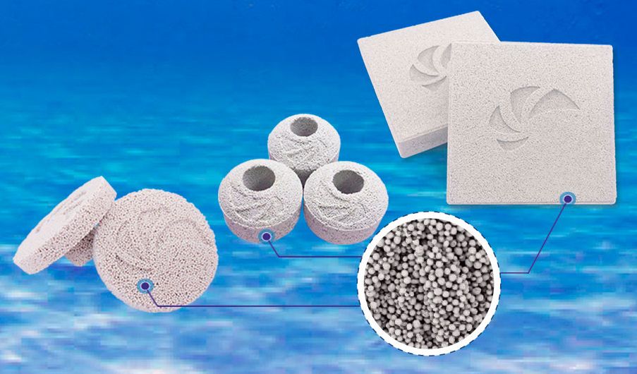 Nano-Tech-Bio-Plug Biomedia Maxspect: guida critica a tutta la gamma Nano-Tech tra marino, ibrido e acqua dolce