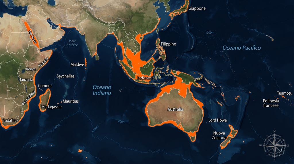 Mappa-di-distribuzione-di-Arothron-stellatus-nellIndo-Pacifico-scaled-1-1024x572 Arothron stellatus, il gigante dei pesci palla