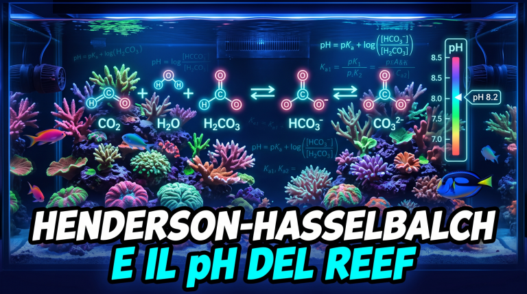 Acquario marino con schema chimico del sistema carbonatico e scala pH sovrapposta
