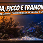 Acquario di barriera durante la fase di tramonto simulato, con sonda PAR immersa sopra una colonia di corallo