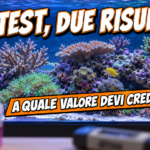 Reef in acquario a fuoco con provette e fotometro sfocati sul bordo inferiore dell'inquadratura